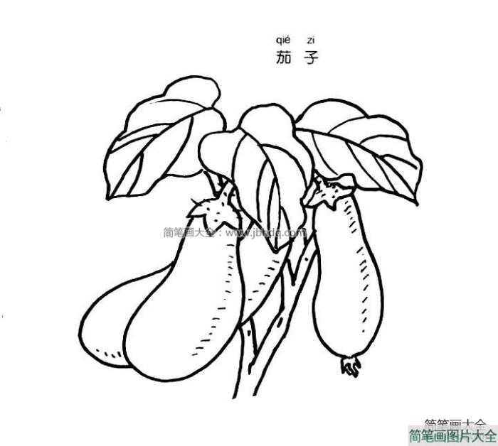 茄子简笔画图片