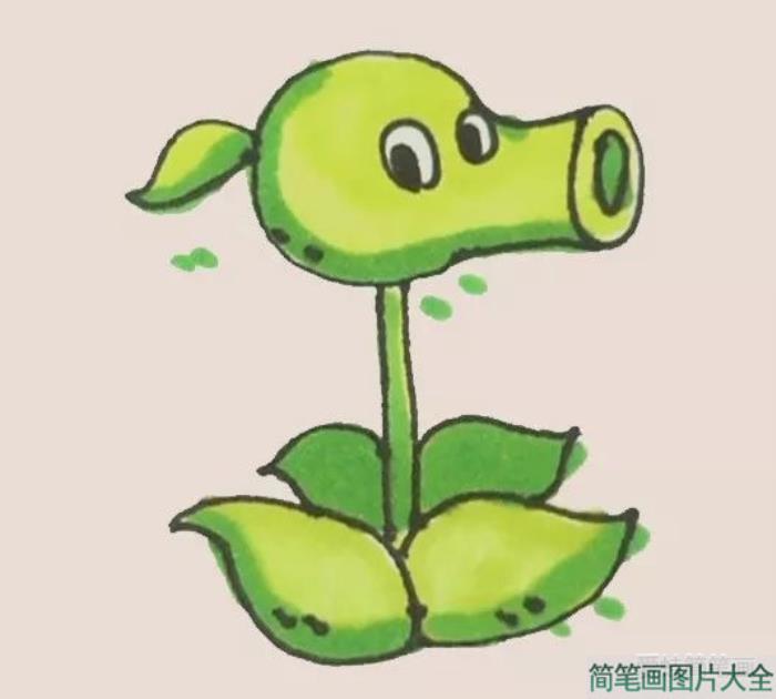 豌豆射手简笔画  第7张