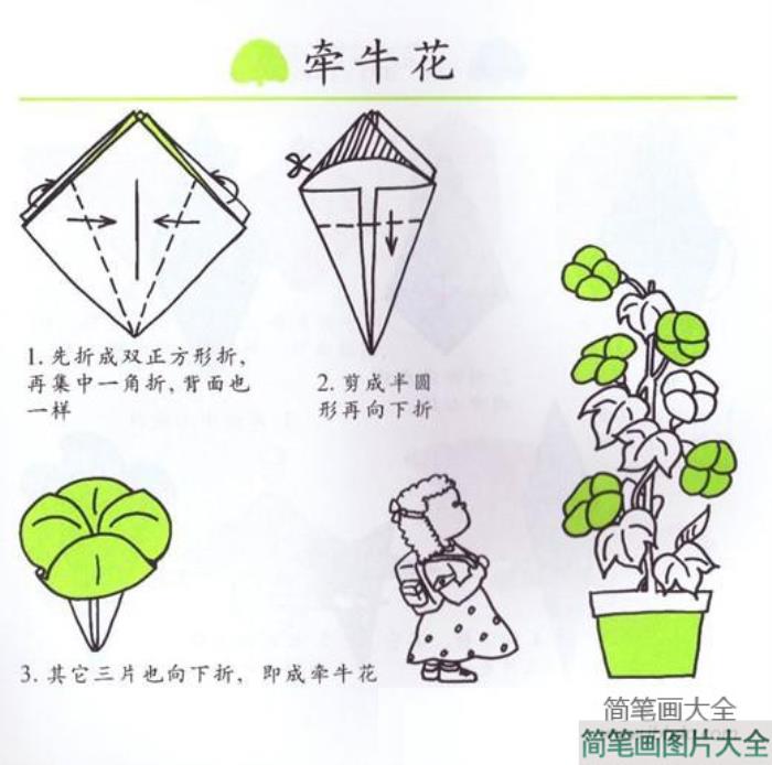 儿童折纸：牵牛花的手工折法!