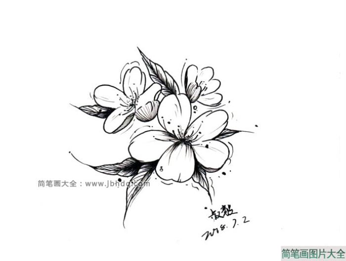 4张漂亮的黑色花朵插画