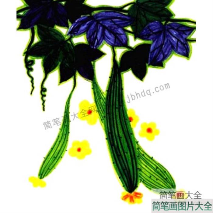 画植物儿童水彩画_黄瓜  第4张