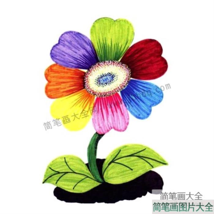 画植物儿童水彩画_七色花  第3张