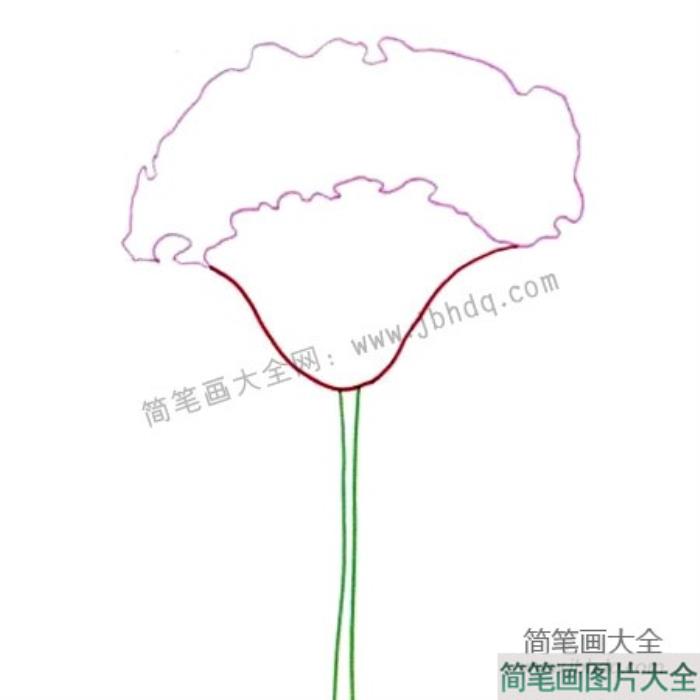 画植物儿童水彩画_鸡冠花