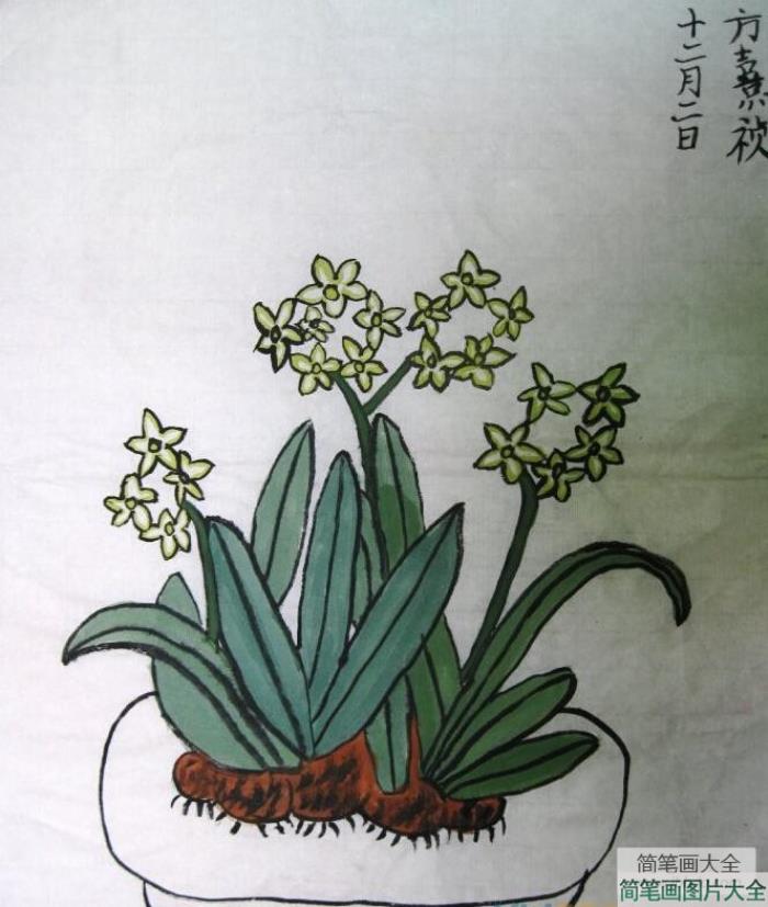 水仙花和青蛙