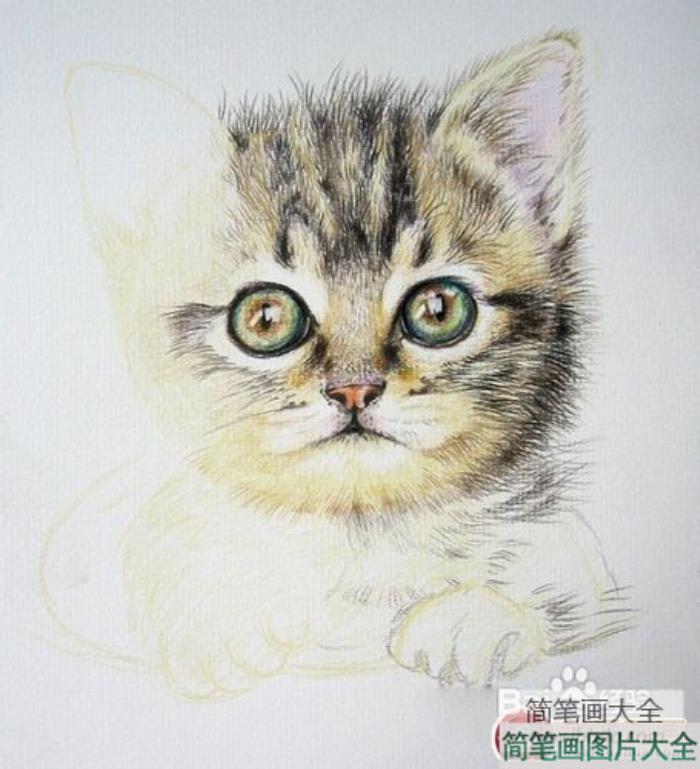 可爱的小猫咪儿童画画作品