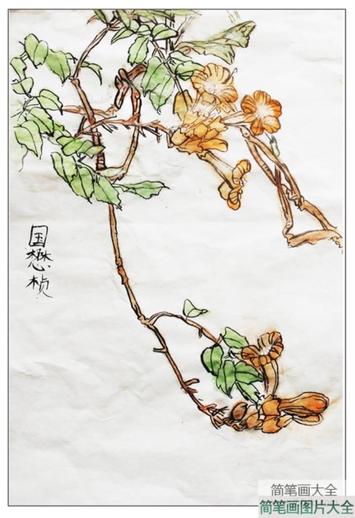 水墨画_盛开的花