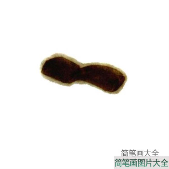 儿童国画基础教程26_麻雀  第2张