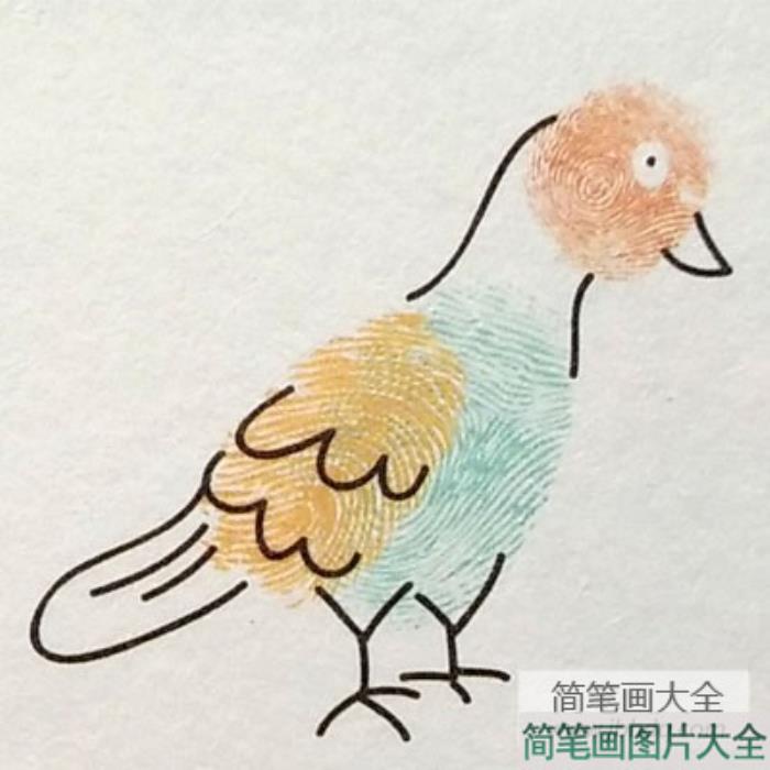 鸽子指印画教程  第5张